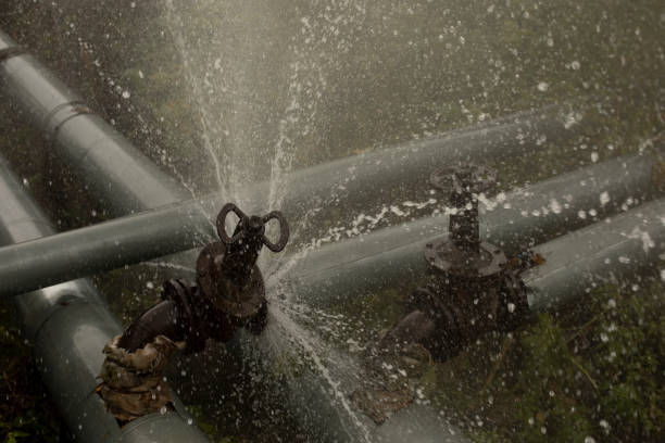 Best Sewage Cleanup and Restoration in Jerome, ID